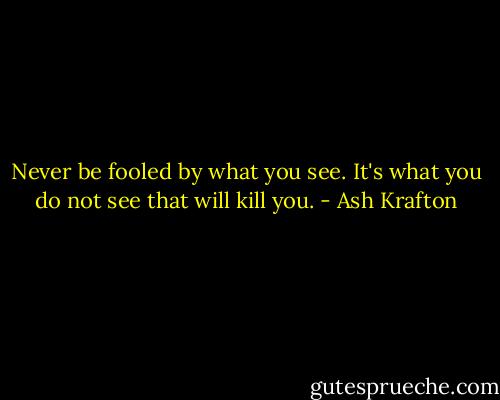 Never be fooled by what you see. It's what you do not see that will kill you. - Ash Krafton
