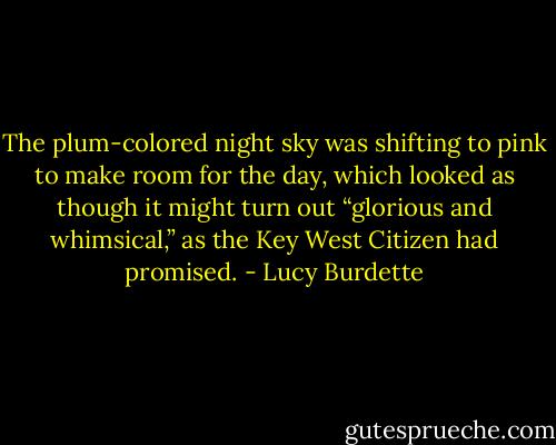 The plum-colored night sky was shifting to pink to make room for the day, which looked as though it might turn out “glorious and whimsical,” as the Key West Citizen had promised. - Lucy Burdette