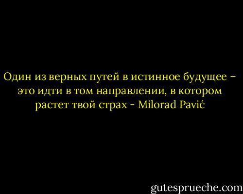 Один из верных путей в истинное будущее – это идти в том направлении, в котором растет твой страх - Milorad Pavić