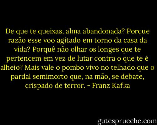 De que te queixas, alma abandonada? Porque razão esse voo agitado em torno da casa da vida? Porquê não olhar os longes que te pertencem em vez de lutar contra o que te é alheio? Mais vale o pombo vivo no telhado que o pardal semimorto que, na mão, se debate, crispado de terror. - Franz Kafka