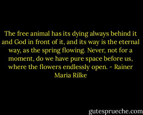The free animal<br />has its dying always behind it<br />and God in front of it, and its way<br />is the eternal way, as the spring flowing.<br />Never, not for a moment, do we have<br />pure space before us, where the flowers<br />endlessly open. - Rainer Maria Rilke