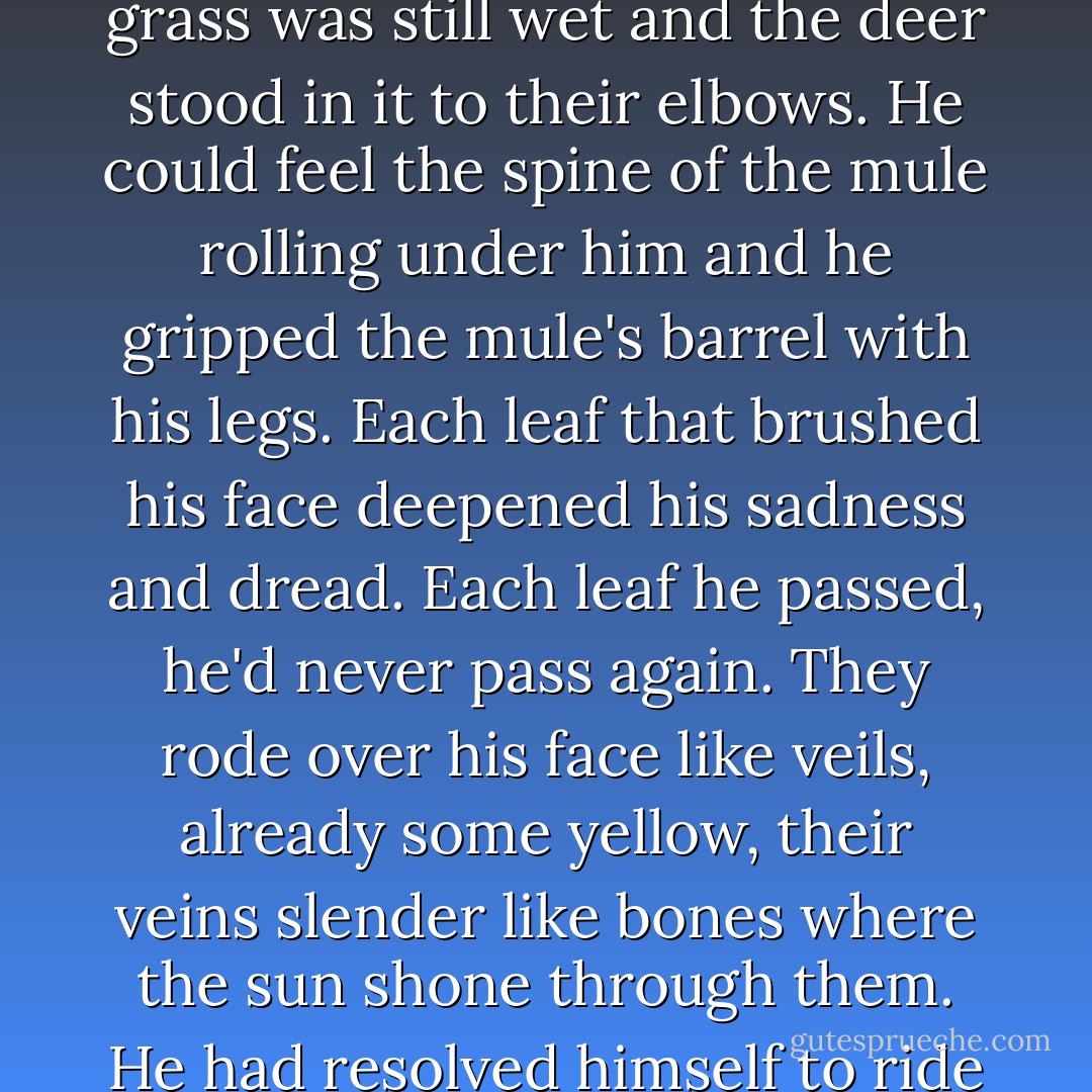 He dreamt that night that he rode through the woods on a low ridge. Below him he could see deer in a meadow where the sun fell on the grass. The grass was still wet and the deer stood in it to their elbows. He could feel the spine of the mule rolling under him and he gripped the mule's barrel with his legs. Each leaf that brushed his face deepened his sadness and dread. Each leaf he passed, he'd never pass again. They rode over his face like veils, already some yellow, their veins slender like bones where the sun shone through them. He had resolved himself to ride on for he could not turn back and the world that day was as lovely as any day ever was and he was riding to his death. - Cormac McCarthy
