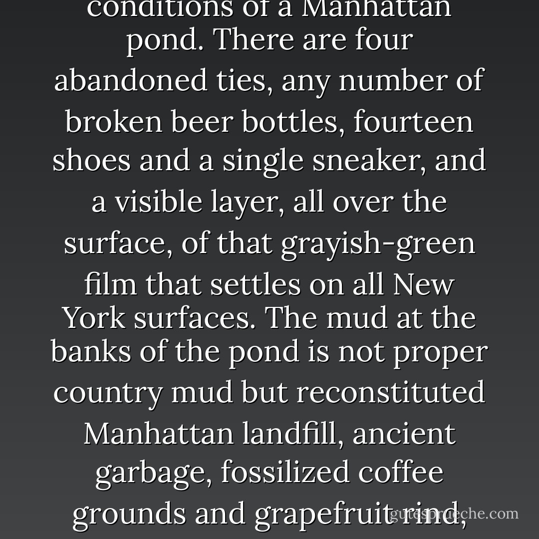 Goldfish in a glass bowl are harmless to the human mind, maybe even helpful to minds casting about for something, anything, to think about. But goldfish let loose, propagating themselves, worst of all surviving in what has to be a sessile eddy of the East River, somehow threaten us all. We do not like to think that life is possible under some conditions, especially the conditions of a Manhattan pond. There are four abandoned ties, any number of broken beer bottles, fourteen shoes and a single sneaker, and a visible layer, all over the surface, of that grayish-green film that settles on all New York surfaces. The mud at the banks of the pond is not proper country mud but reconstituted Manhattan landfill, ancient garbage, fossilized coffee grounds and grapefruit rind, the defecation of a city. For goldfish to be swimming in such water, streaking back and forth mysteriously in small schools, feeding, obviously feeding, looking as healthy and well-off as goldfish in the costliest kind of window-box aquarium, means something is wrong with our standards. It is, in some deep sense beyond words, insulting. - Lewis Thomas