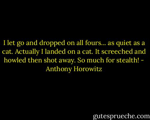 I let go and dropped on all fours... as quiet as a cat. Actually I landed on a cat. It screeched and howled then shot away. So much for stealth! - Anthony Horowitz