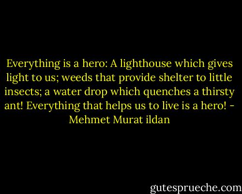 Everything is a hero: A lighthouse which gives light to us; weeds that provide shelter to little insects; a water drop which quenches a thirsty ant! Everything that helps us to live is a hero! - Mehmet Murat ildan