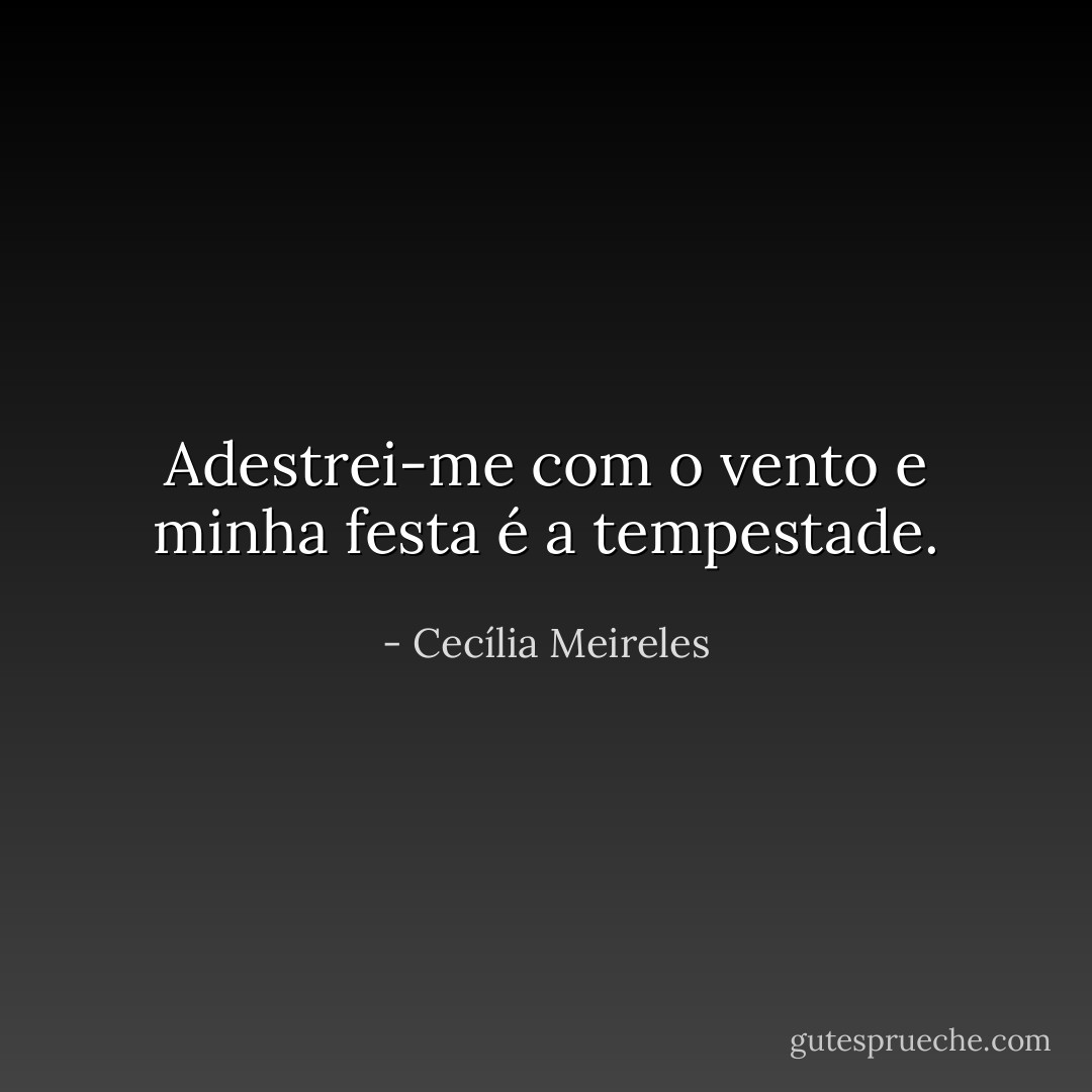 Adestrei-me com o vento e minha festa é a tempestade. - Cecília Meireles