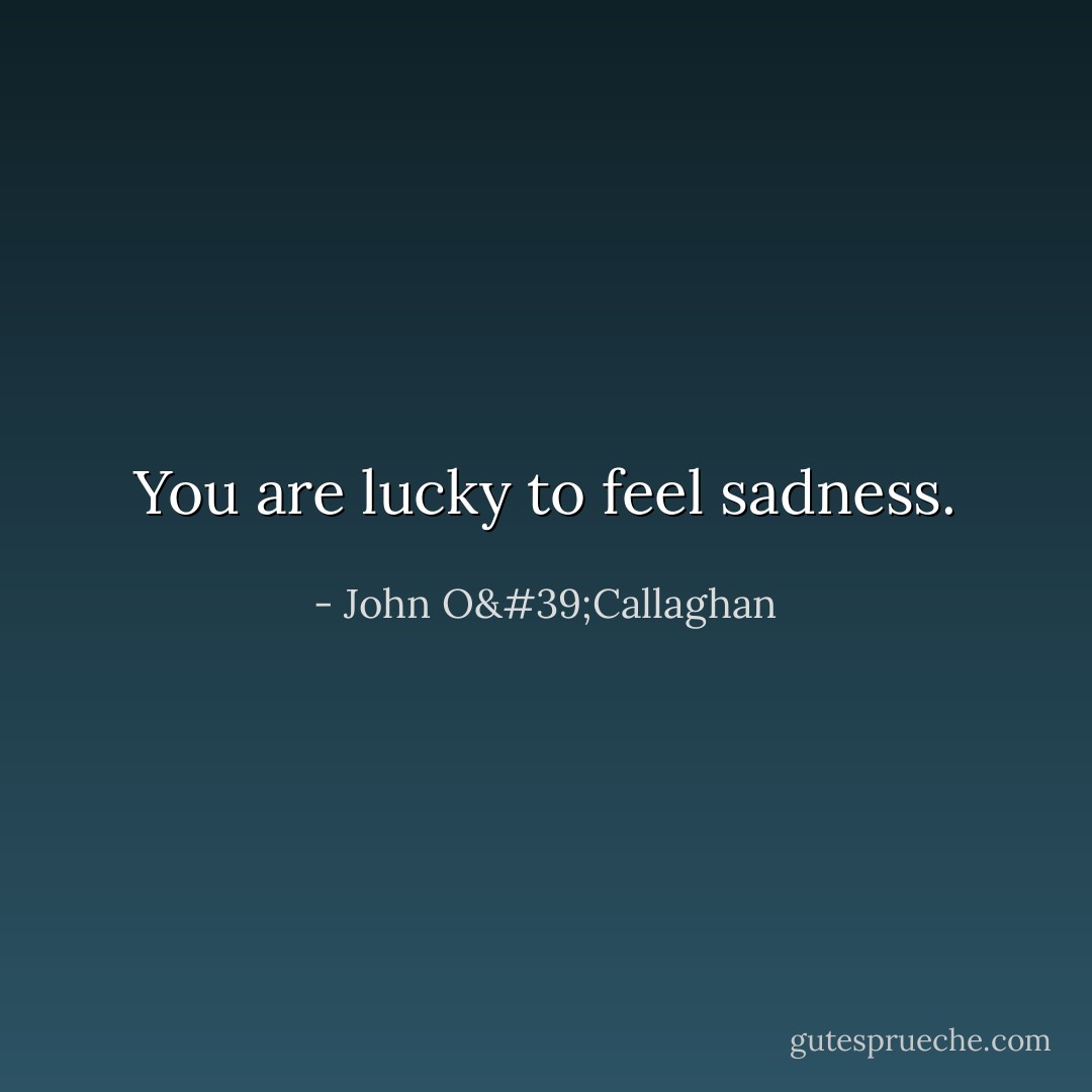 You are lucky to feel sadness. - John O'Callaghan