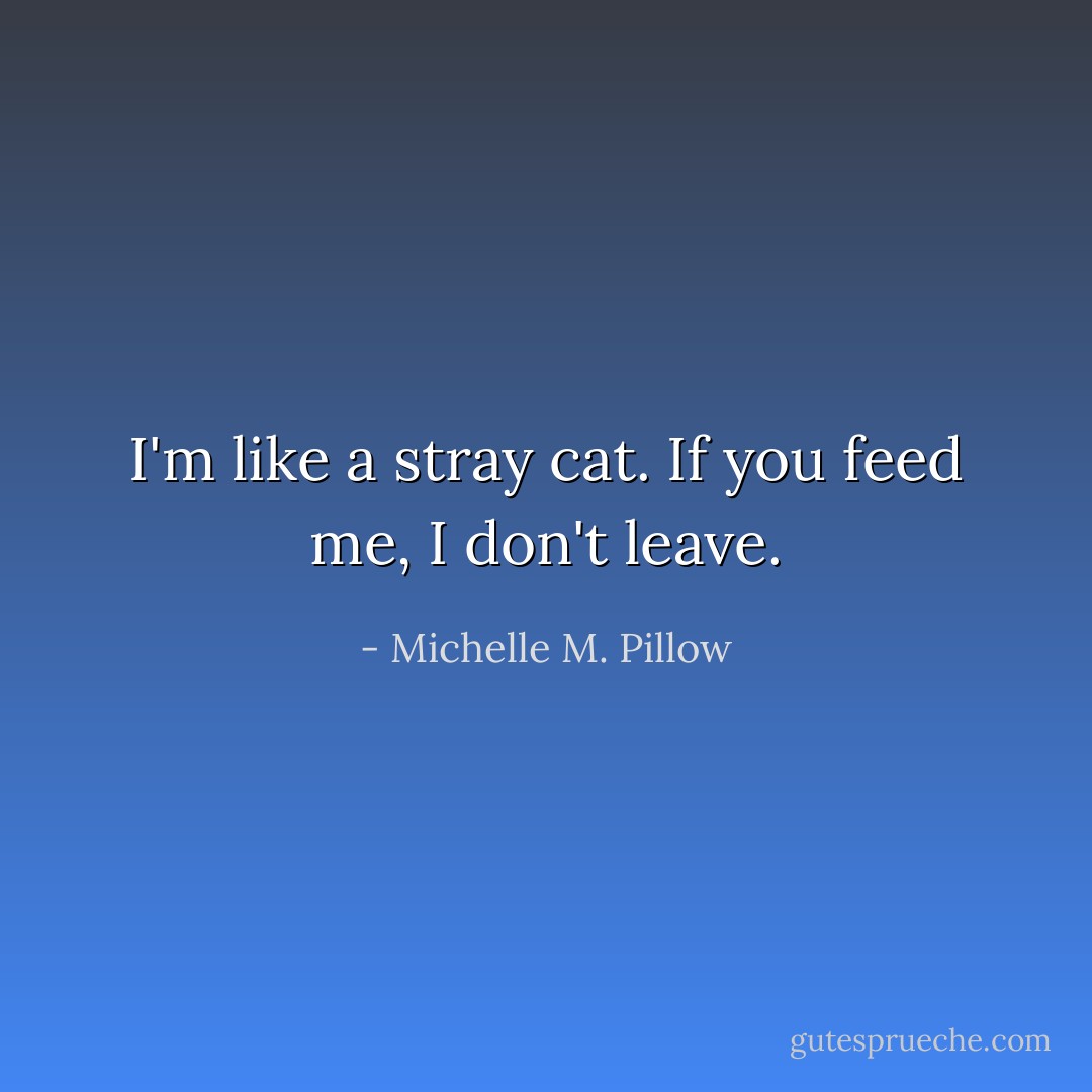 I'm like a stray cat. If you feed me, I don't leave. - Michelle M. Pillow