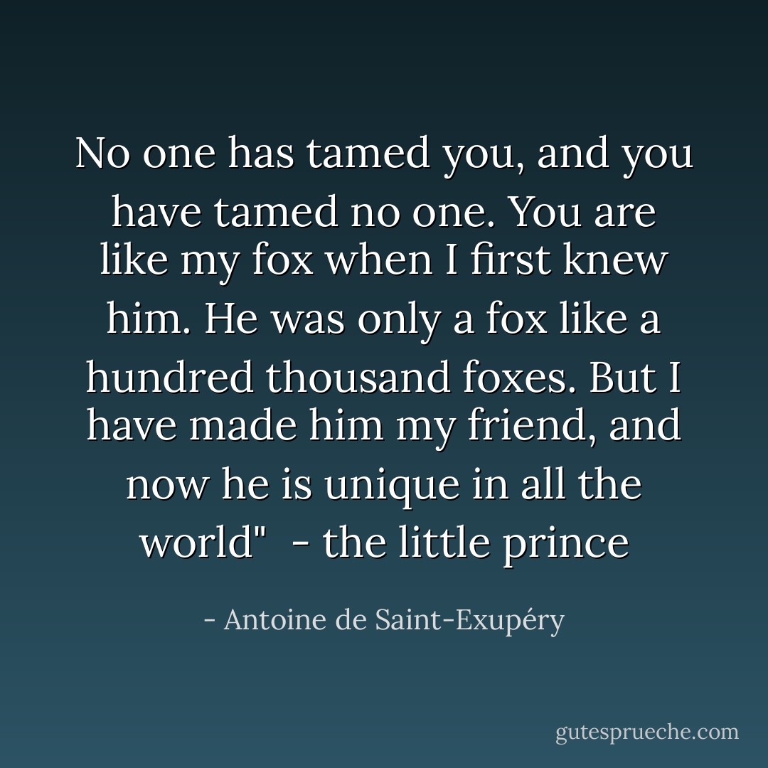No one has tamed you, and you have tamed no one. You are like my fox when I first knew him. He was only a fox like a hundred thousand foxes. But I have made him my friend, and now he is unique in all the world"<br /><br />- the little prince - Antoine de Saint-Exupéry
