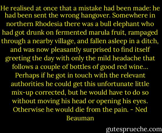 He realised at once that a mistake had been made: he had been sent the wrong hangover. Somewhere in northern Rhodesia there was a bull elephant who had got drunk on fermented marula fruit, rampaged through a nearby village, and fallen asleep in a ditch, and was now pleasantly surprised to find itself greeting the day with only the mild headache that follows a couple of bottles of good red wine… Perhaps if he got in touch with the relevant authorities he could get this unfortunate little mix-up corrected, but he would have to do so without moving his head or opening his eyes. Otherwise he would die from the pain. - Ned Beauman