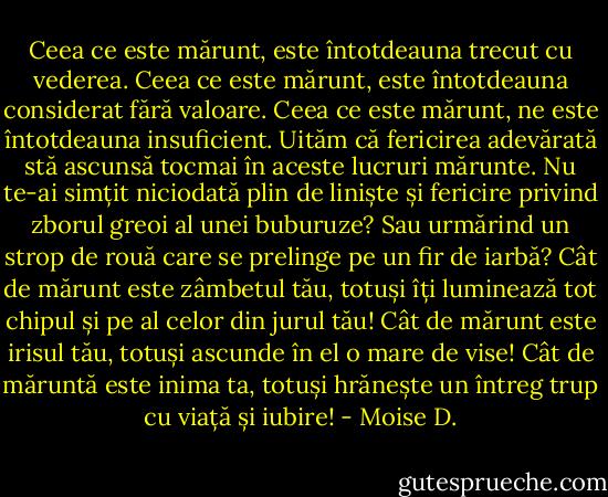 Ceea ce este mărunt, este întotdeauna trecut cu vederea.<br />Ceea ce este mărunt, este întotdeauna considerat fără valoare. Ceea ce este mărunt, ne este întotdeauna insuficient. Uităm că fericirea adevărată stă ascunsă tocmai în aceste lucruri mărunte.<br />Nu te-ai simțit niciodată plin de liniște și fericire privind zborul greoi al unei buburuze? Sau urmărind un strop de rouă care se prelinge pe un fir de iarbă?<br />Cât de mărunt este zâmbetul tău, totuși îți luminează tot chipul și pe al celor din jurul tău!<br />Cât de mărunt este irisul tău, totuși ascunde în el o mare de vise!<br />Cât de măruntă este inima ta, totuși hrănește un întreg trup cu viață și iubire! - Moise D.