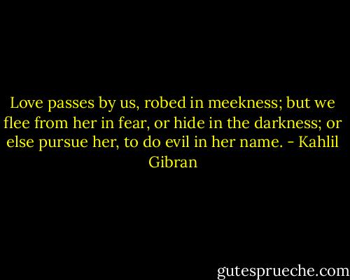 Love passes by us, robed in meekness; but we flee from her in fear, or hide in the darkness; or else pursue her, to do evil in her name. - Kahlil Gibran