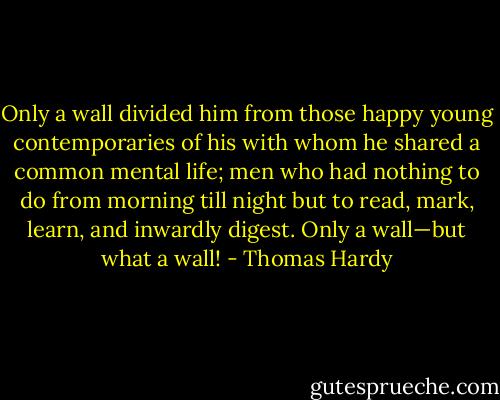 Only a wall divided him from those happy young contemporaries of his with whom he shared a common mental life; men who had nothing to do from morning till night but to read, mark, learn, and inwardly digest. Only a wall—but what a wall! - Thomas Hardy