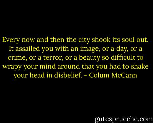Every now and then the city shook its soul out. It assailed you with an image, or a day, or a crime, or a terror, or a beauty so difficult to wrapy your mind around that you had to shake your head in disbelief. - Colum McCann