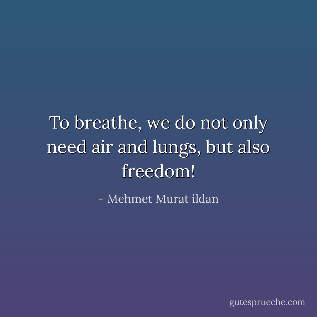 To breathe, we do not only need air and lungs, but also freedom! - Mehmet Murat ildan
