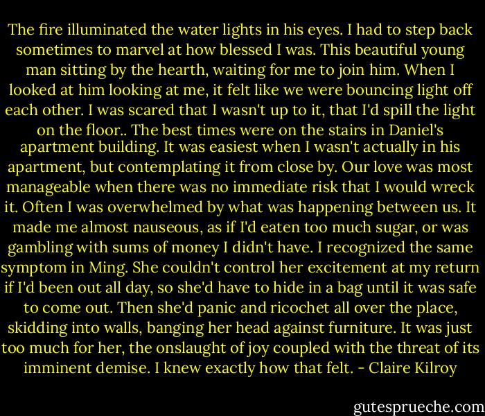 The fire illuminated the water lights in his eyes. I had to step back sometimes to marvel at how blessed I was. This beautiful young man sitting by the hearth, waiting for me to join him. When I looked at him looking at me, it felt like we were bouncing light off each other.<br />I was scared that I wasn't up to it, that I'd spill the light on the floor.. The best times were on the stairs in Daniel's apartment building. It was easiest when I wasn't actually in his apartment, but contemplating it from close by. Our love was most manageable when there was no immediate risk that I would wreck it. Often I was overwhelmed by what was happening between us. It made me almost nauseous, as if I'd eaten too much sugar, or was gambling with sums of money I didn't have. I recognized the same symptom in Ming. She couldn't control her excitement at my return if I'd been out all day, so she'd have to hide in a bag until it was safe to come out. Then she'd panic and ricochet all over the place, skidding into walls, banging her head against furniture. It was just too much for her, the onslaught of joy coupled with the threat of its imminent demise. I knew exactly how that felt. - Claire Kilroy