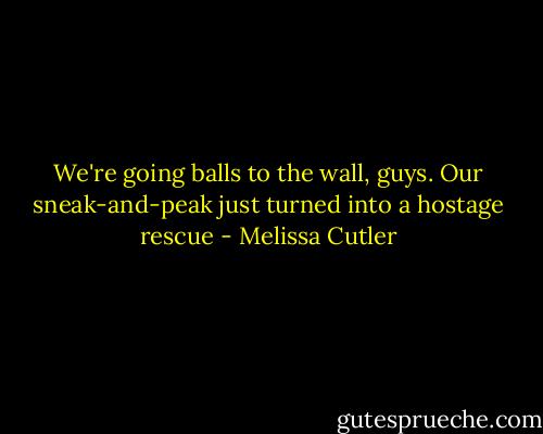 We're going balls to the wall, guys. Our sneak-and-peak just turned into a hostage rescue - Melissa Cutler