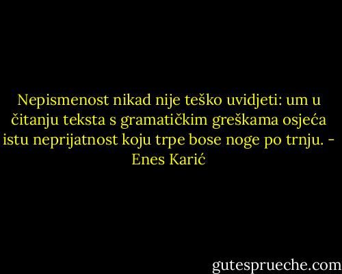 Nepismenost nikad nije teško uvidjeti: um u čitanju teksta s gramatičkim greškama osjeća istu neprijatnost koju trpe bose noge po trnju. - Enes Karić