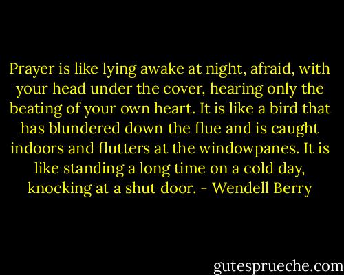 Prayer is like lying awake at night, afraid, with your head under the cover, hearing only the beating of your own heart. It is like a bird that has blundered down the flue and is caught indoors and flutters at the windowpanes. It is like standing a long time on a cold day, knocking at a shut door. - Wendell Berry