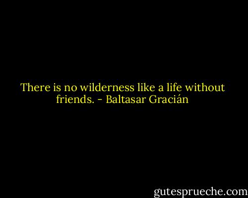 There is no wilderness like a life without friends. - Baltasar Gracián