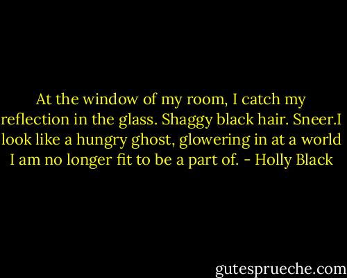 At the window of my room, I catch my reflection in the glass. Shaggy black hair. Sneer.I look like a hungry ghost, glowering in at a world I am no longer fit to be a part of. - Holly Black