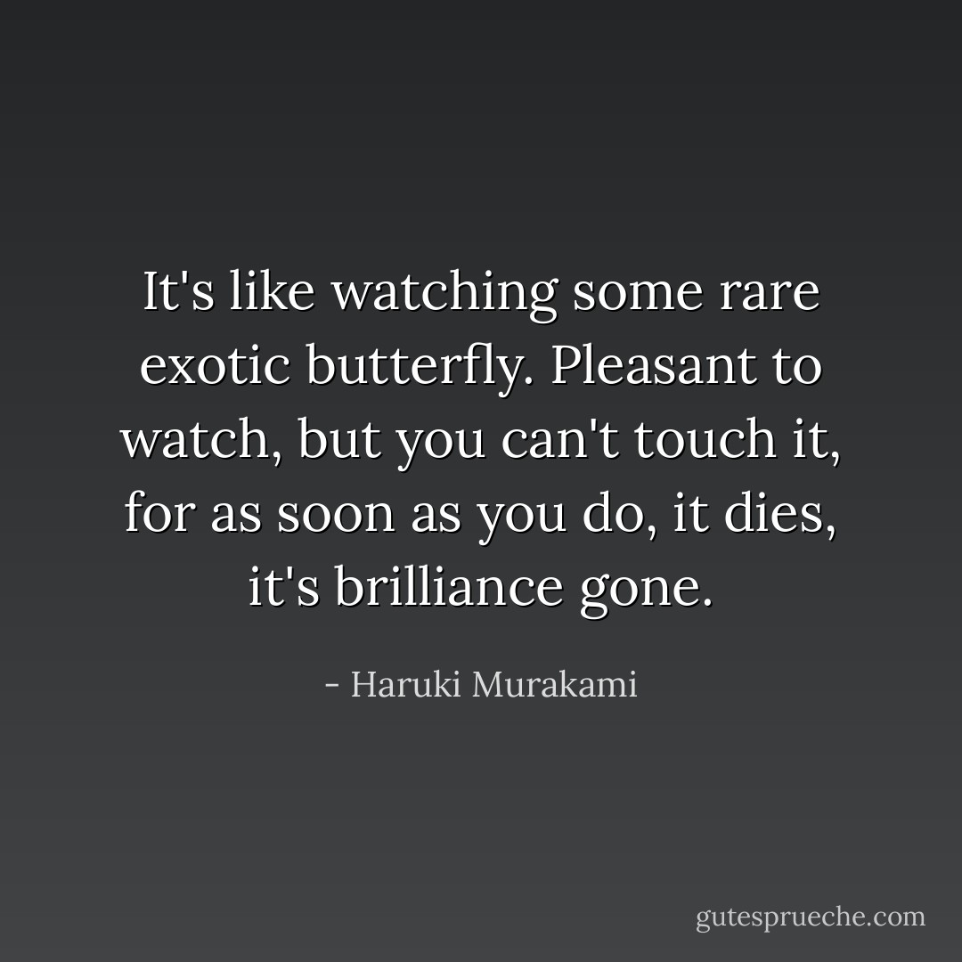 It's like watching some rare exotic butterfly. Pleasant to watch, but you can't touch it, for as soon as you do, it dies, it's brilliance gone. - Haruki Murakami