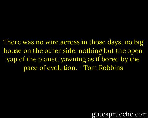 There was no wire across in those days, no big house on the other side; nothing but the open yap of the planet, yawning as if bored by the pace of evolution. - Tom Robbins