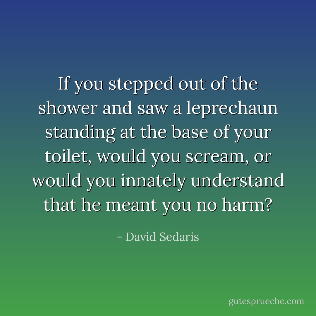 If you stepped out of the shower and saw a leprechaun standing at the base of your toilet, would you scream, or would you innately understand that he meant you no harm? - David Sedaris