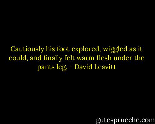 Cautiously his foot explored, wiggled as it could, and finally felt warm flesh under the pants leg. - David Leavitt