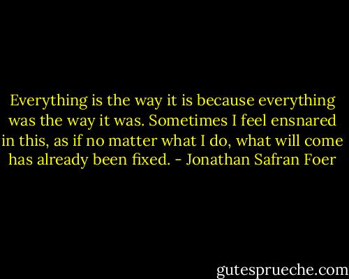 Everything is the way it is because everything was the way it was. Sometimes I feel ensnared in this, as if no matter what I do, what will come has already been fixed. - Jonathan Safran Foer