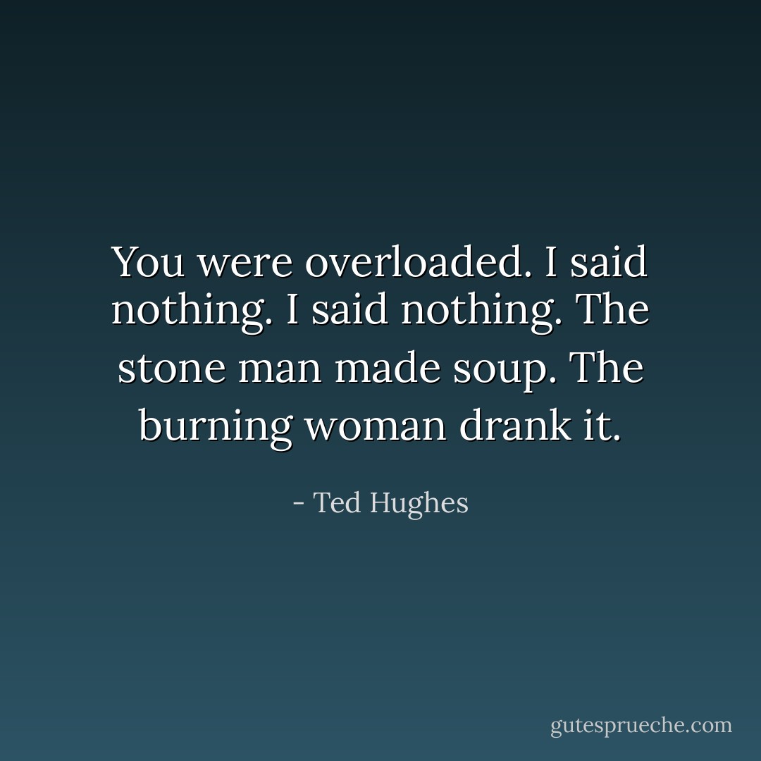 You were overloaded. I said nothing.<br />I said nothing. The stone man made soup.<br />The burning woman drank it. - Ted Hughes