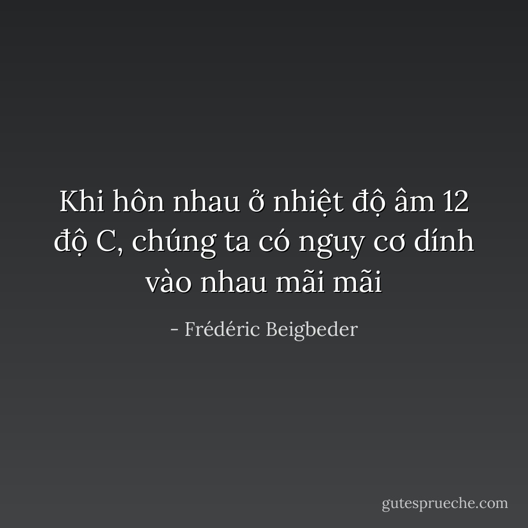 Khi hôn nhau ở nhiệt độ âm 12 độ C, chúng ta có nguy cơ dính vào nhau mãi mãi - Frédéric Beigbeder