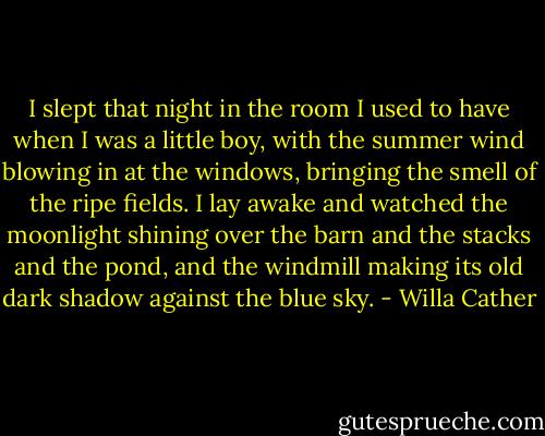 I slept that night in the room I used to have when I was a little boy, with the summer wind blowing in at the windows, bringing the smell of the ripe fields. I lay awake and watched the moonlight shining over the barn and the stacks and the pond, and the windmill making its old dark shadow against the blue sky. - Willa Cather