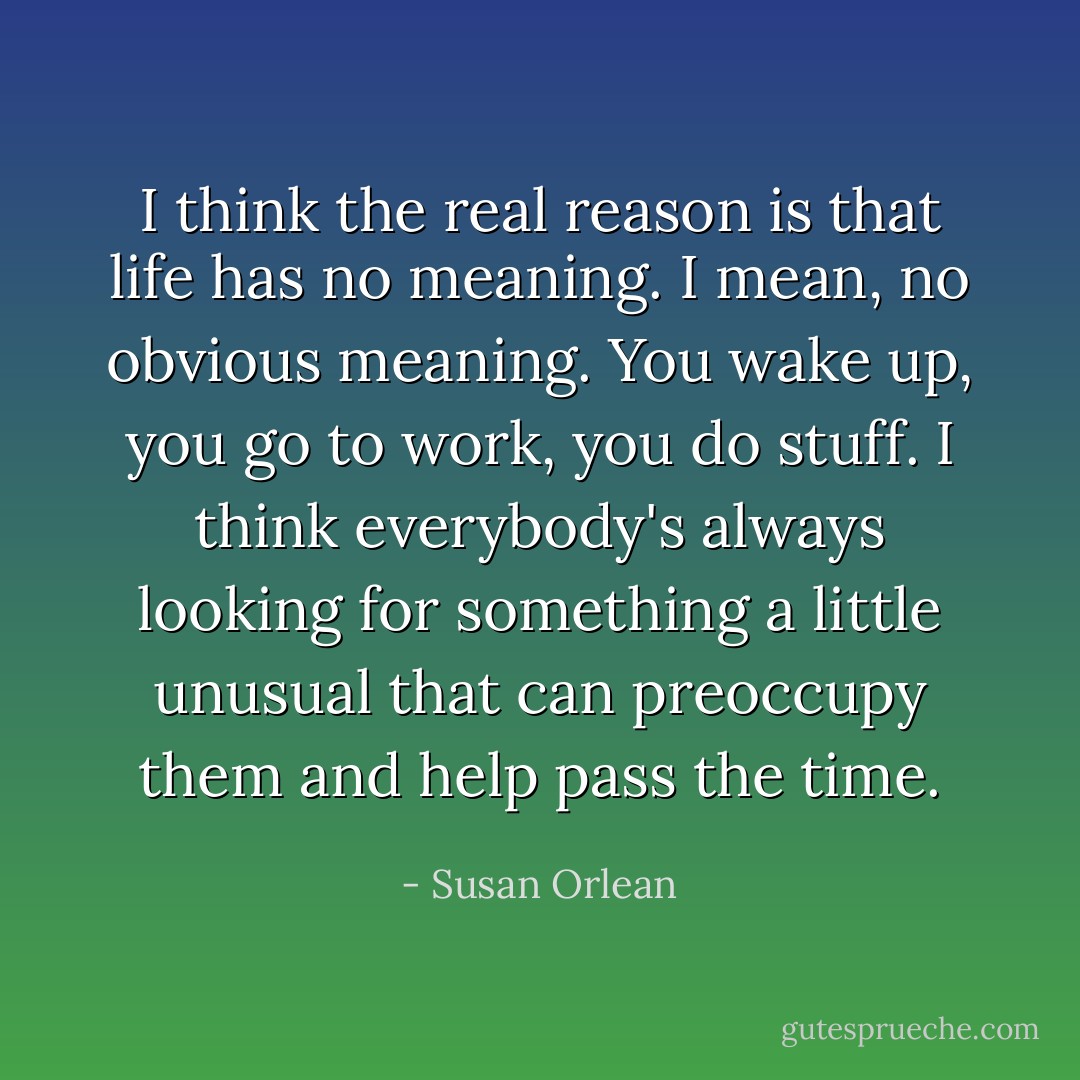 I think the real reason is that life has no meaning. I mean, no obvious meaning. You wake up, you go to work, you do stuff. I think everybody's always looking for something a little unusual that can preoccupy them and help pass the time. - Susan Orlean