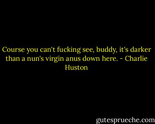 Course you can't fucking see, buddy, it's darker than a nun's virgin anus down here. - Charlie Huston