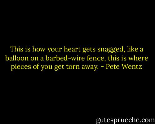 This is how your heart gets<br />snagged, like a balloon on a barbed-wire fence, this is where pieces of you get torn away. - Pete Wentz