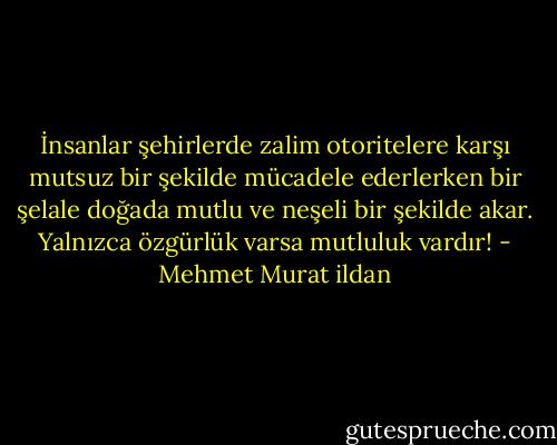 İnsanlar şehirlerde zalim otoritelere karşı mutsuz bir şekilde mücadele ederlerken bir şelale doğada mutlu ve neşeli bir şekilde akar. Yalnızca özgürlük varsa mutluluk vardır! - Mehmet Murat ildan
