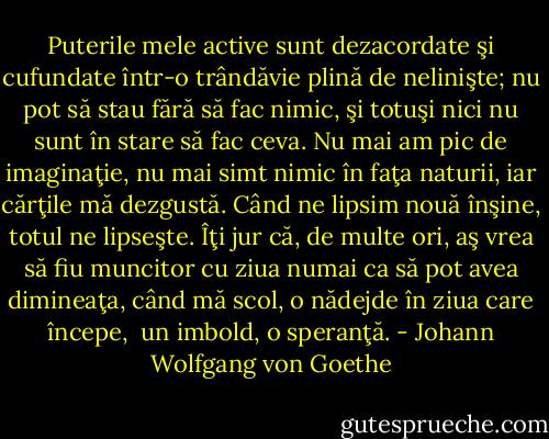 Puterile mele active sunt dezacordate şi cufundate într-o trândăvie plină de nelinişte; nu pot să stau fără să fac nimic, şi totuşi nici nu sunt în stare să fac ceva. Nu mai am pic de imaginaţie, nu mai simt nimic în faţa naturii, iar cărţile mă dezgustă. Când ne lipsim nouă înşine, totul ne lipseşte. Îţi jur că, de multe ori, aş vrea să fiu muncitor cu ziua numai ca să pot avea dimineaţa, când mă scol, o nădejde în ziua care începe,<br /> un imbold, o speranţă. - Johann Wolfgang von Goethe