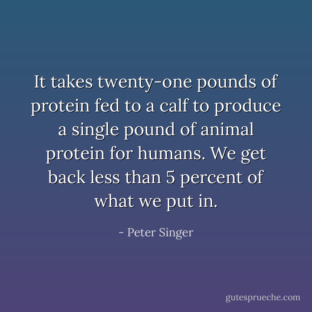 It takes twenty-one pounds of protein fed to a calf to produce a single pound of animal protein for humans. We get back less than 5 percent of what we put in. - Peter Singer