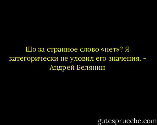 Шо за странное слово «нет»? Я категорически не уловил его значения. - Андрей Белянин