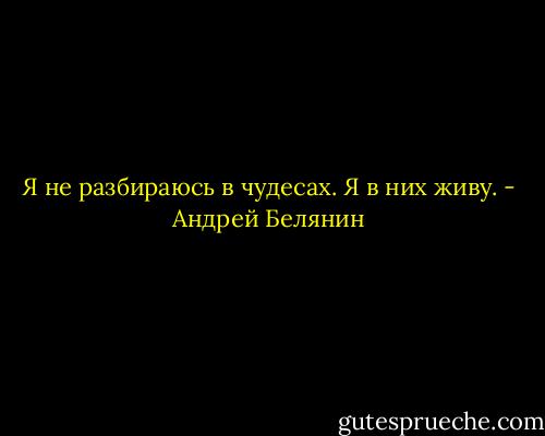 Я не разбираюсь в чудесах. Я в них живу. - Андрей Белянин