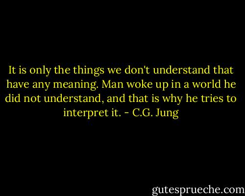 It is only the things we don't understand that have any meaning. Man woke up in a world he did not understand, and that is why he tries to interpret it. - C.G. Jung