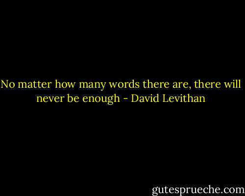 No matter how many words there are, there will never be enough - David Levithan
