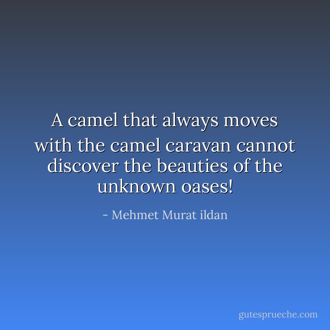 A camel that always moves with the camel caravan cannot discover the beauties of the unknown oases! - Mehmet Murat ildan