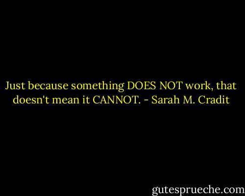 Just because something DOES NOT work, that doesn't mean it CANNOT. - Sarah M. Cradit