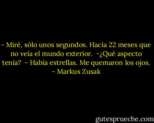 - Miré, sólo unos segundos. Hacía 22 meses que no veía el mundo exterior. <br />-¿Qué aspecto tenía? <br />- Había estrellas. Me quemaron los ojos. - Markus Zusak