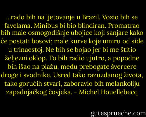 ...rado bih na ljetovanje u Brazil. Vozio bih se favelama. Minibus bi bio blindiran. Promatrao bih male osmogodišnje ubojice koji sanjare kako će postati bosovi; male kurve koje umiru od side u trinaestoj. Ne bih se bojao jer bi me štitio željezni oklop. To bih radio ujutro, a popodne bih išao na plažu, među prebogate švercere droge i svodnike. Usred tako razuzdanog života, tako gorućih stvari, zaboravio bih melankoliju zapadnjačkog čovjeka. - Michel Houellebecq