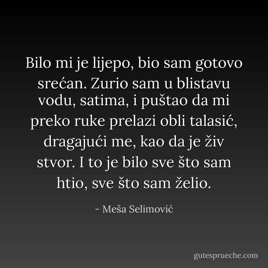 Bilo mi je lijepo, bio sam gotovo srećan. Zurio sam u blistavu vodu, satima, i puštao da mi preko ruke prelazi obli talasić, dragajući me, kao da je živ stvor. I to je bilo sve što sam htio, sve što sam želio. - Meša Selimović