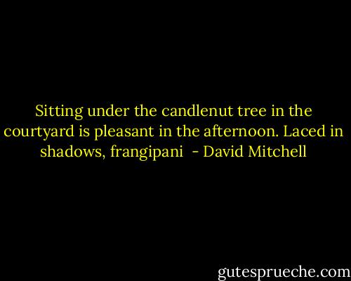Sitting under the candlenut tree in the courtyard is pleasant in the afternoon. Laced in shadows, frangipani  - David Mitchell