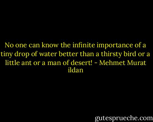 No one can know the infinite importance of a tiny drop of water better than a thirsty bird or a little ant or a man of desert! - Mehmet Murat ildan